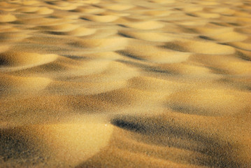 sand in the sunset