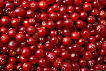 red cranberries background