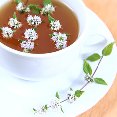 Cup of green tea with mint twigs floating in it