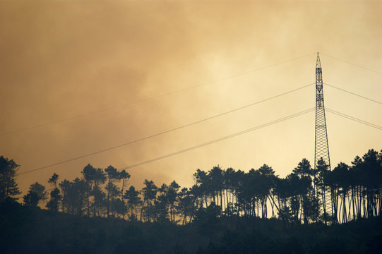 WundbrandBilder StockFotos & Videos. Adobe Stock