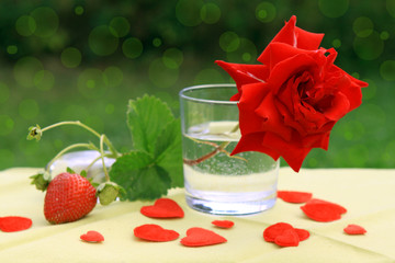 rote rose ,muttertag