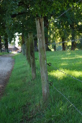 Fototapeta premium Clôture