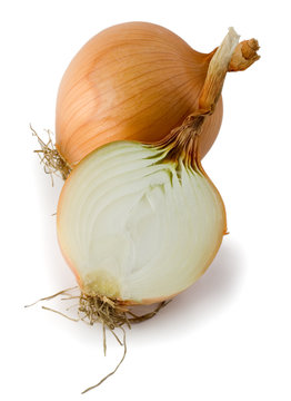 onion isolated