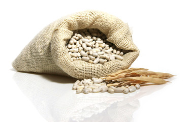 Sac de haricots blancs