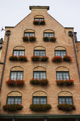 Naklejka premium building