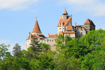 Burg Bran no.1