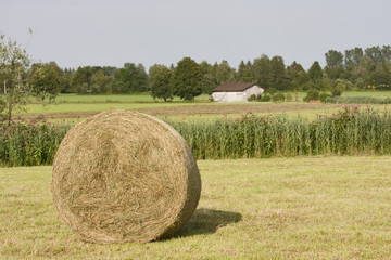 strohballen