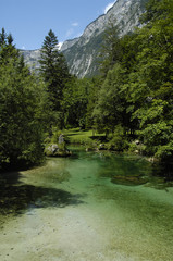 Slowenien,Bohinj