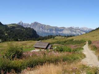 Sentier de  randonnée à Flaine