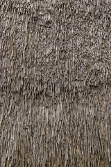straw thatch texture