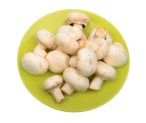 Group of white field mushroomon green plate.