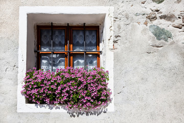 Fototapeta na wymiar Flower Window Box
