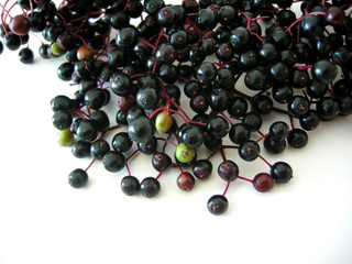 balck elder on white