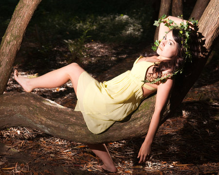 Nymph sitting on a tree