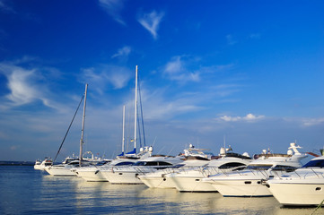 Fototapeta premium White yachts