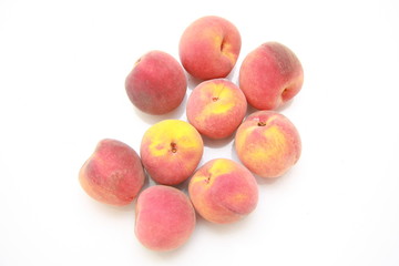 pêche