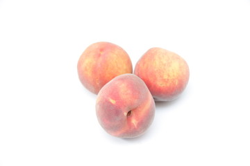 pêche