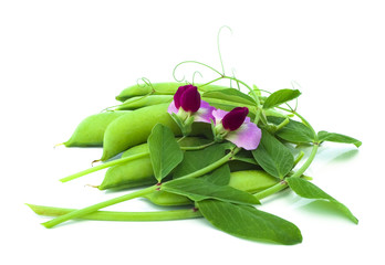 Pea flower