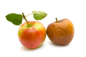 Ripe and rotten apple