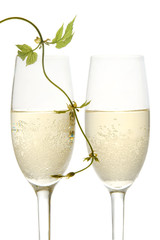 Pair of champagne flutes