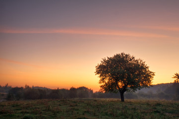 Obraz premium sunrise