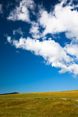 Obraz premium scene of the meadow