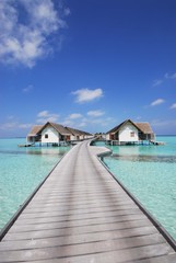 maldives/モルディブ