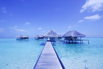 maldives/モルディブ