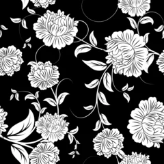 Papier Peint photo Lavable Fleurs noir et blanc fond transparent floral