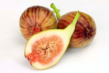fig