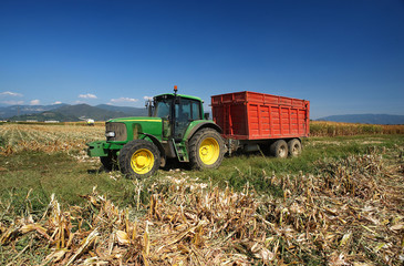 Obraz premium trebbiatura mais