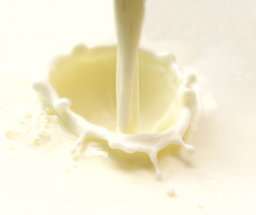 Fototapeta na wymiar milk