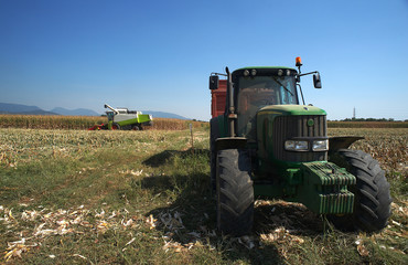 Fototapeta premium trebbiatura mais