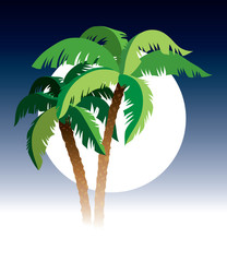 Palm trees and moon