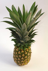 ananas