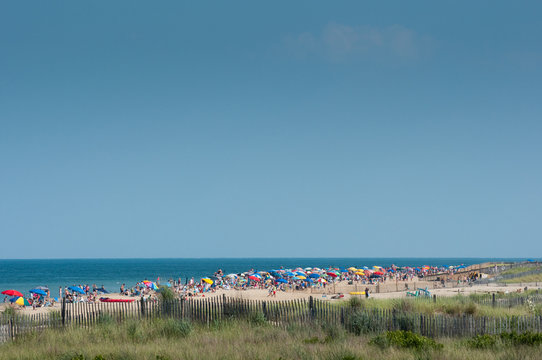 Crowded Beach