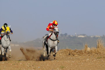 Horseracing, Kfar Kana, Israel