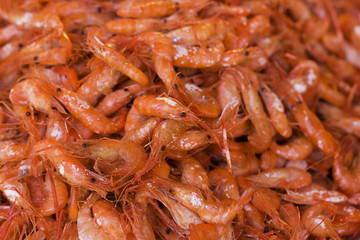 Shrimps
