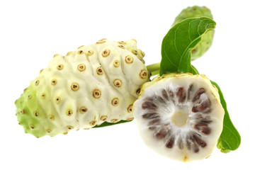 fruits du morinda citrifolia