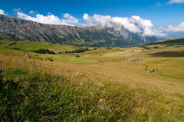 Seiser Alm in Südtirol