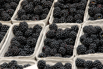 Blackberries