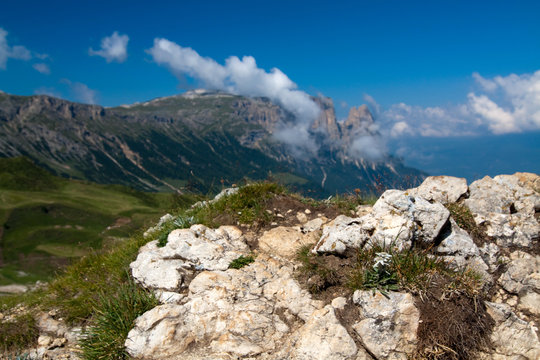 Edelweiß Seiser Alm in Südtirol