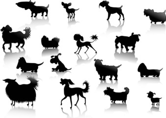 dogs silhouettes in vector
