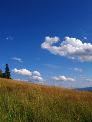 Fototapeta premium Fresh air