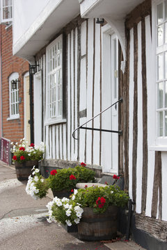 flowers and tudor house