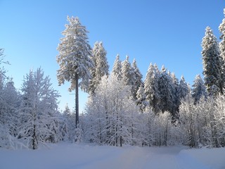 Verschneite Landschaft