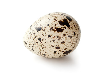 Quail egg