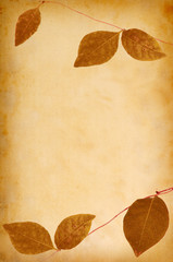 abstract grunge texture background with leafs