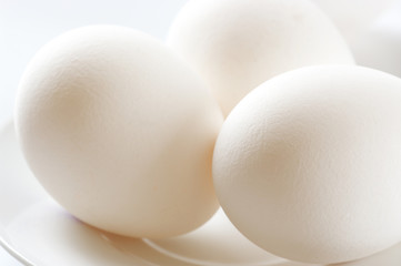 Chicken eggs close-up
