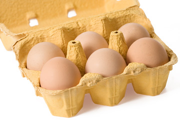 eggs in paper egg carton